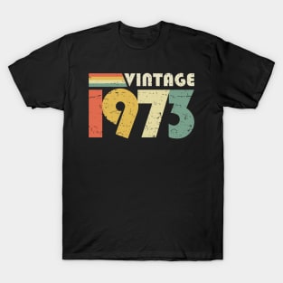 Vintage 1973, 50th Birthday Gift Distressed T-Shirt